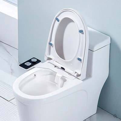 The Bidet: A Hygienic and Eco-Friendly Solution for Modern Living